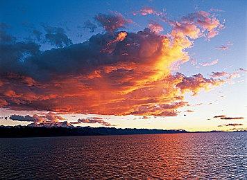 奇幻解谜冒险游戏《不祥之森》推出免费试玩版本